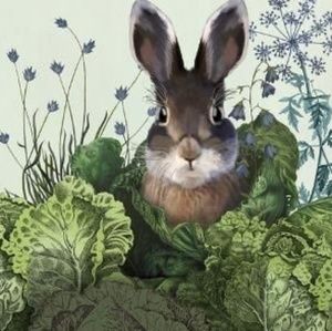 Meet your Posher, Theresa